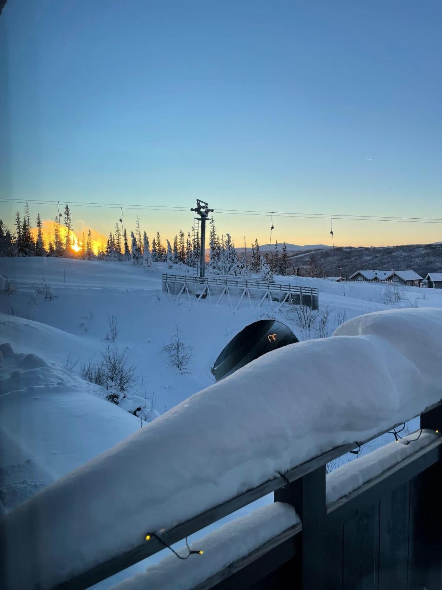 Arebjornen - Sadelen Villa Luaran gambar